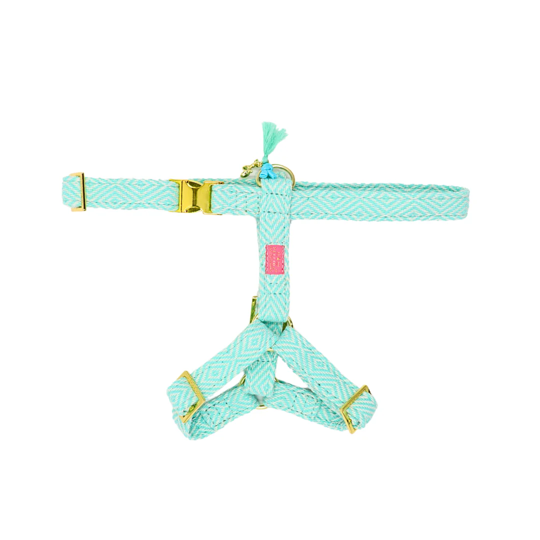 Harnas Munt - Afbeelding 2