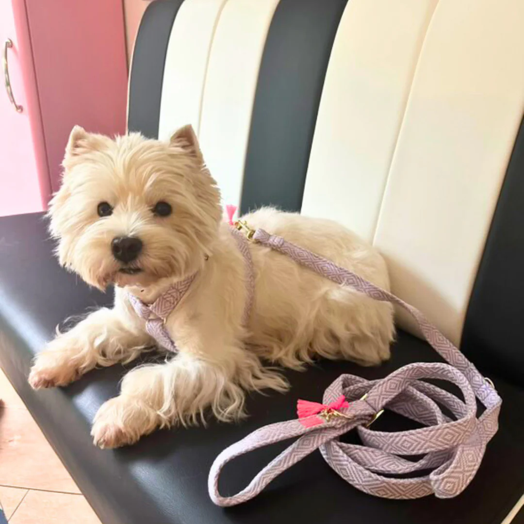 Harnas Lavendel - Afbeelding 3