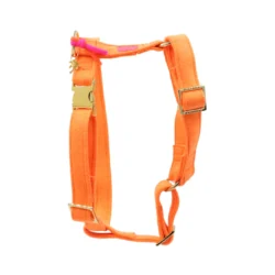 Harnas Neon Orange