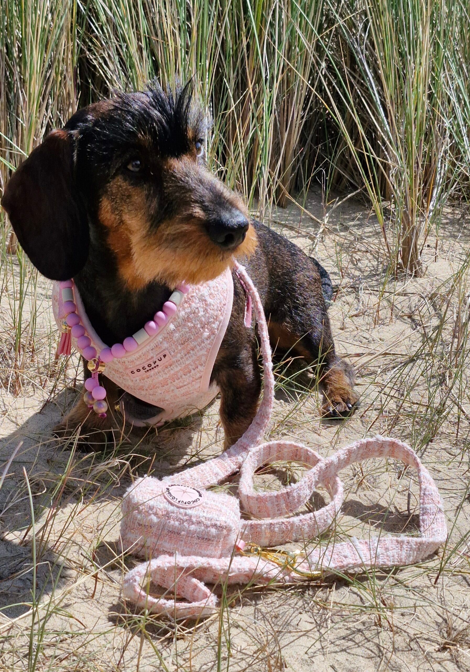 Harnas in Chanel Stijl van CocoPup London - Afbeelding 2