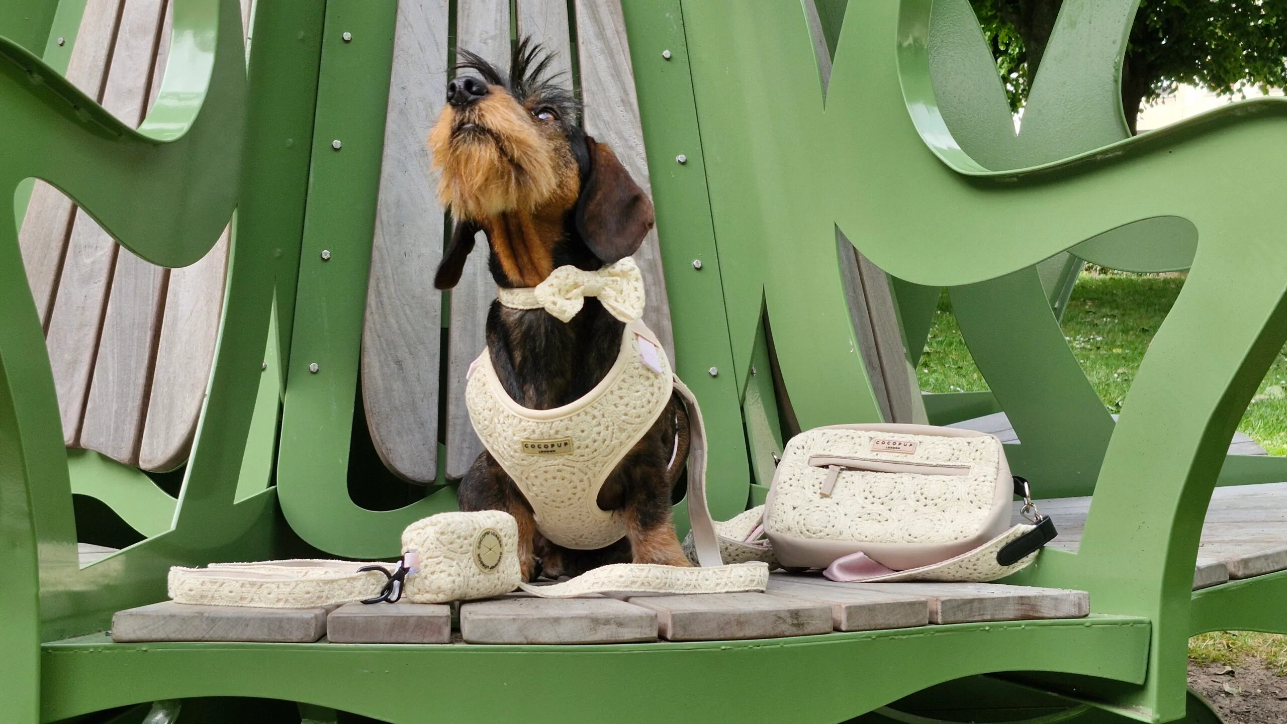 Boho Harnas van CocoPup London - Afbeelding 3