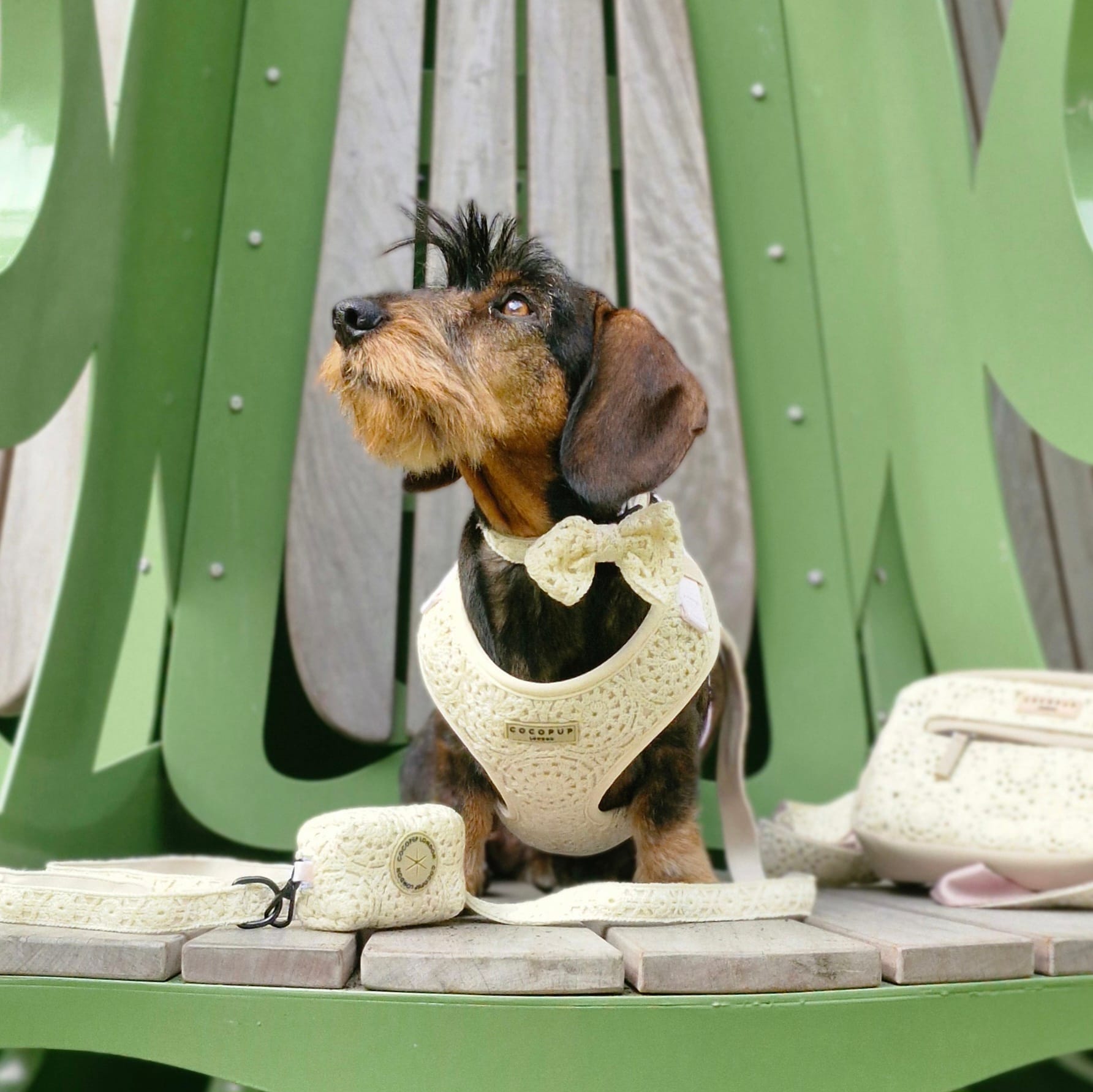 Boho Harnas van CocoPup London