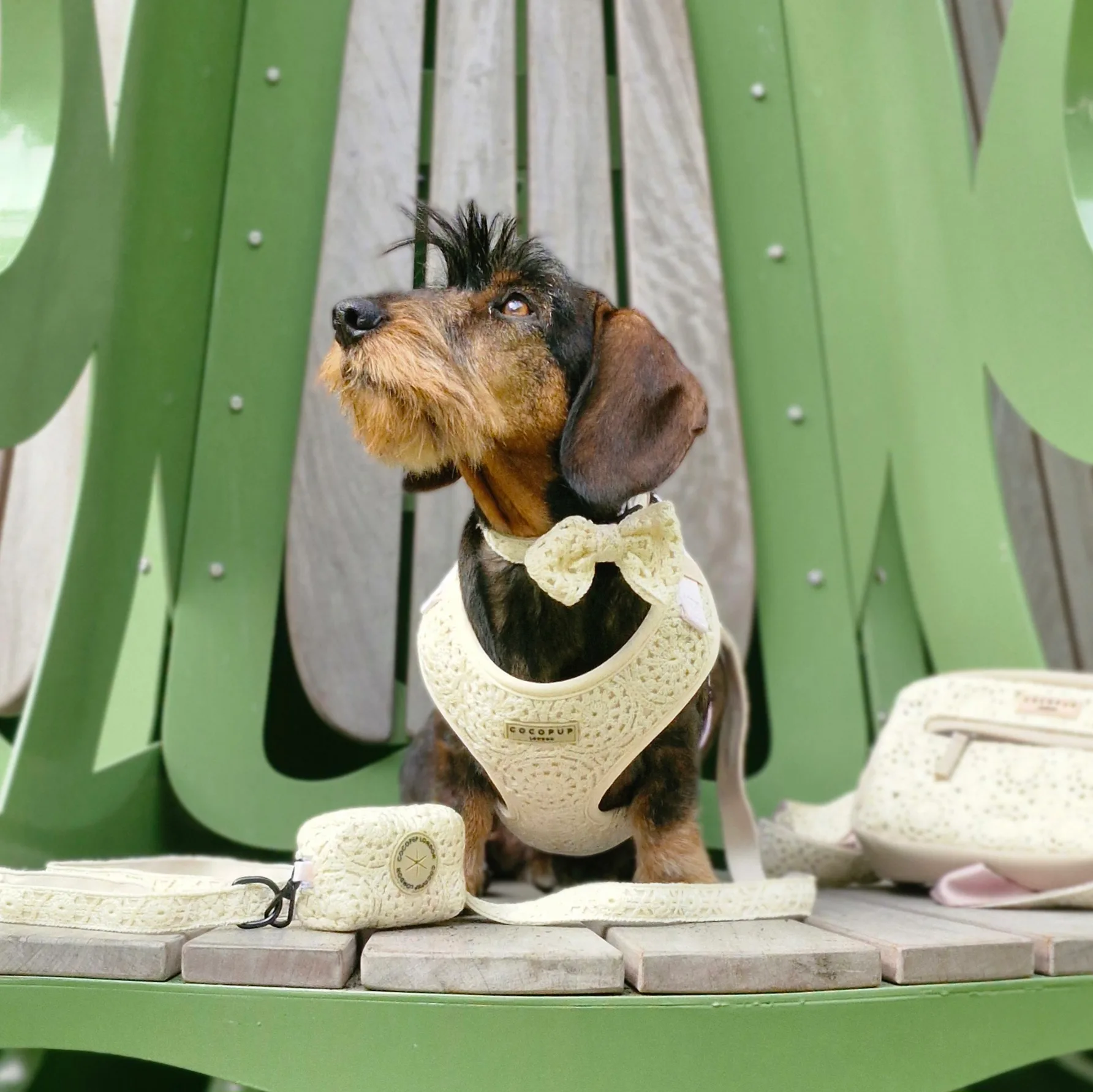 Boho Harnas van CocoPup London