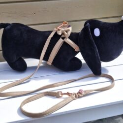 Leiband Zacht Leder Beige
