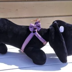 Harnas in Zacht Leder Paars