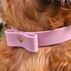 Halsband Splash Lavendel (van XS tot  2XL)