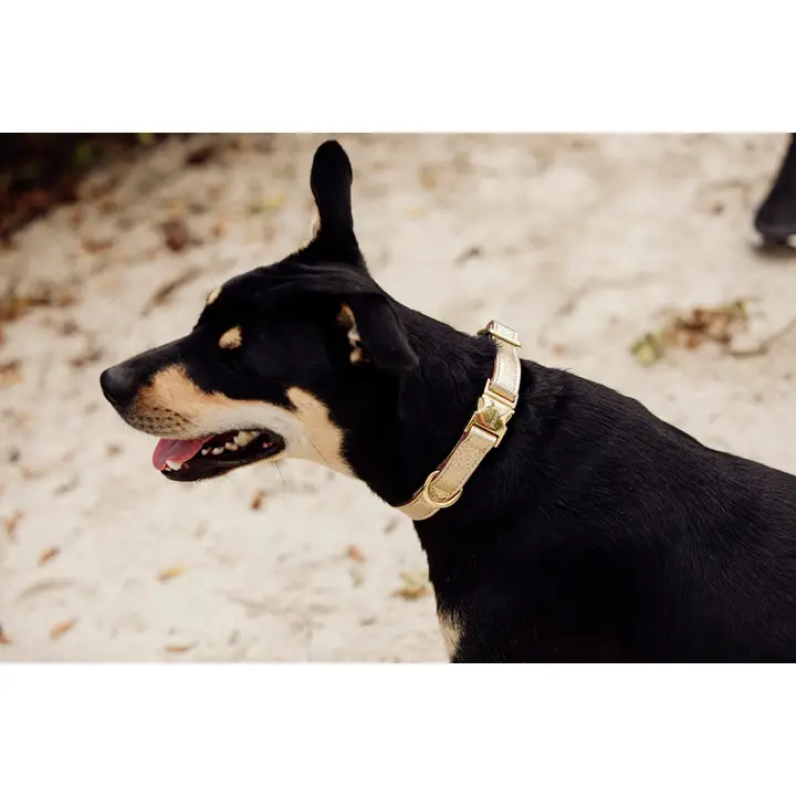 Halsband in Goud - Afbeelding 2