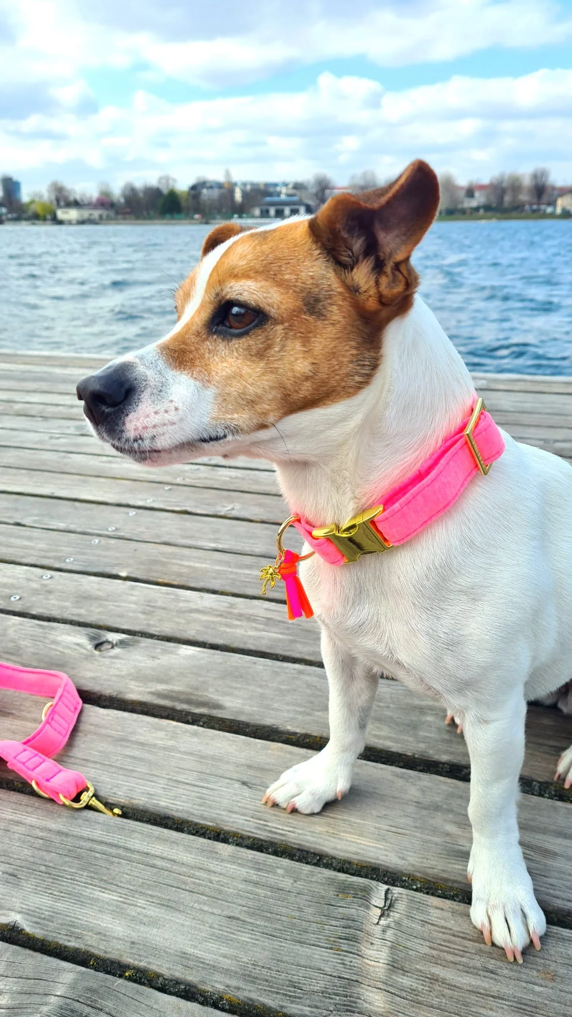 Halsband Neon Roze - Afbeelding 3