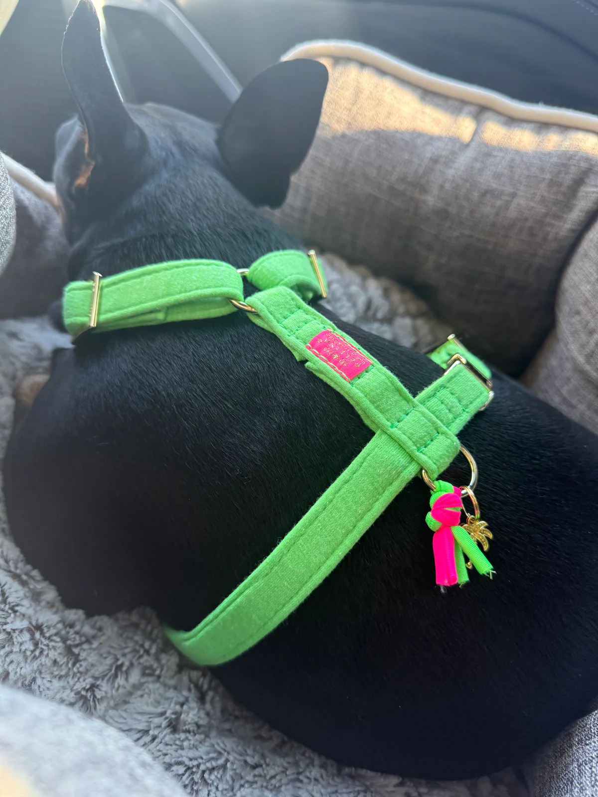 Harnas Neon Groen - Afbeelding 3