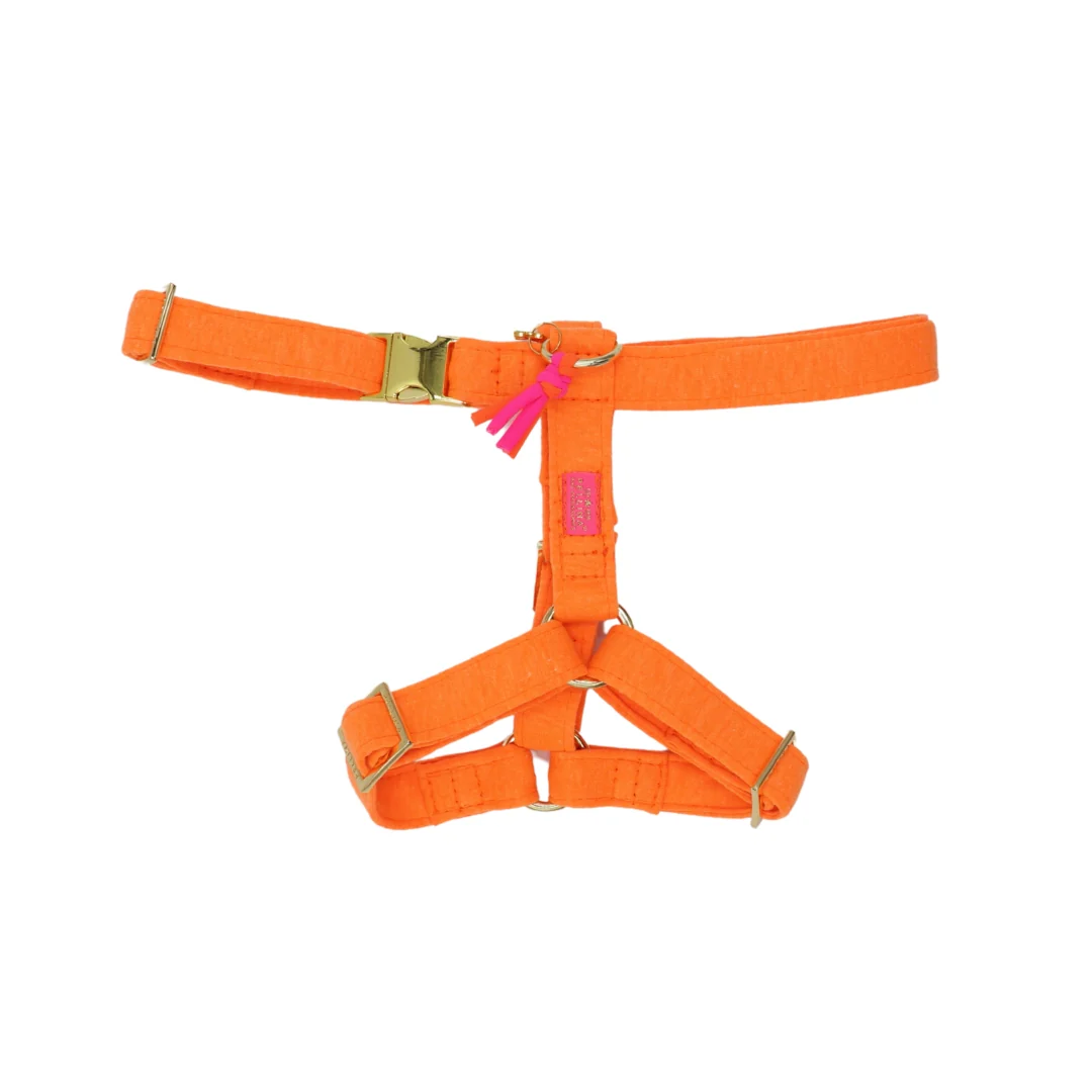 Harnas Neon Orange - Afbeelding 2