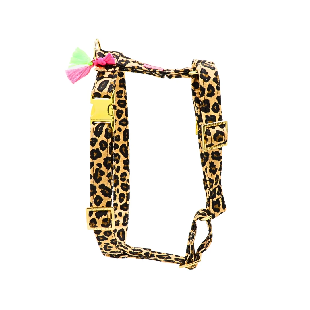 hondenharnas LeoLove