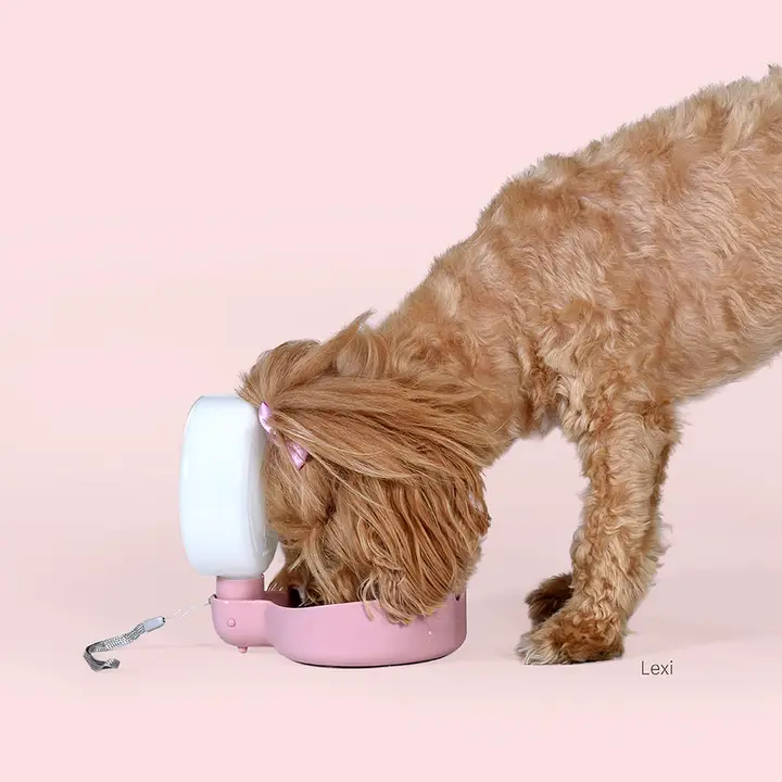 Drinkfles voor Onderweg - Afbeelding 3