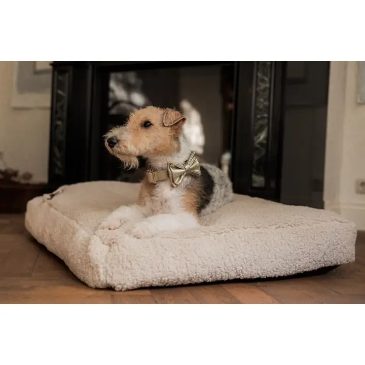 Vlinderdas/strikje in Goud - Afbeelding 3