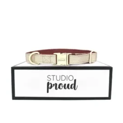Halsband in Goud
