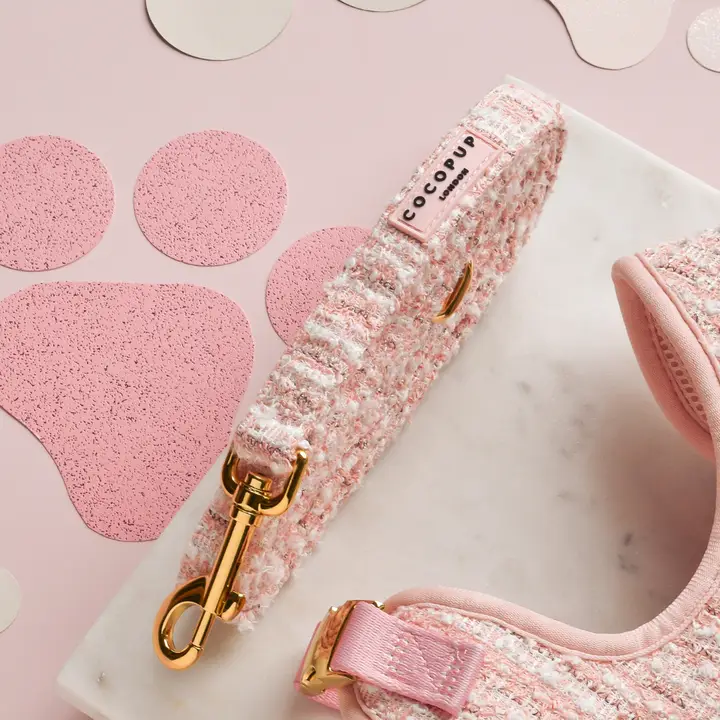 Leiband in Chanel stijl Van CocoPup London