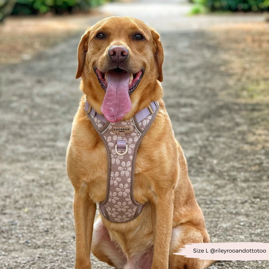 Explore Harnas - Mocha Flower - Afbeelding 2