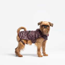 Liu-Jo Regenjas voor Grote en Kleine Honden - Rose Animalier