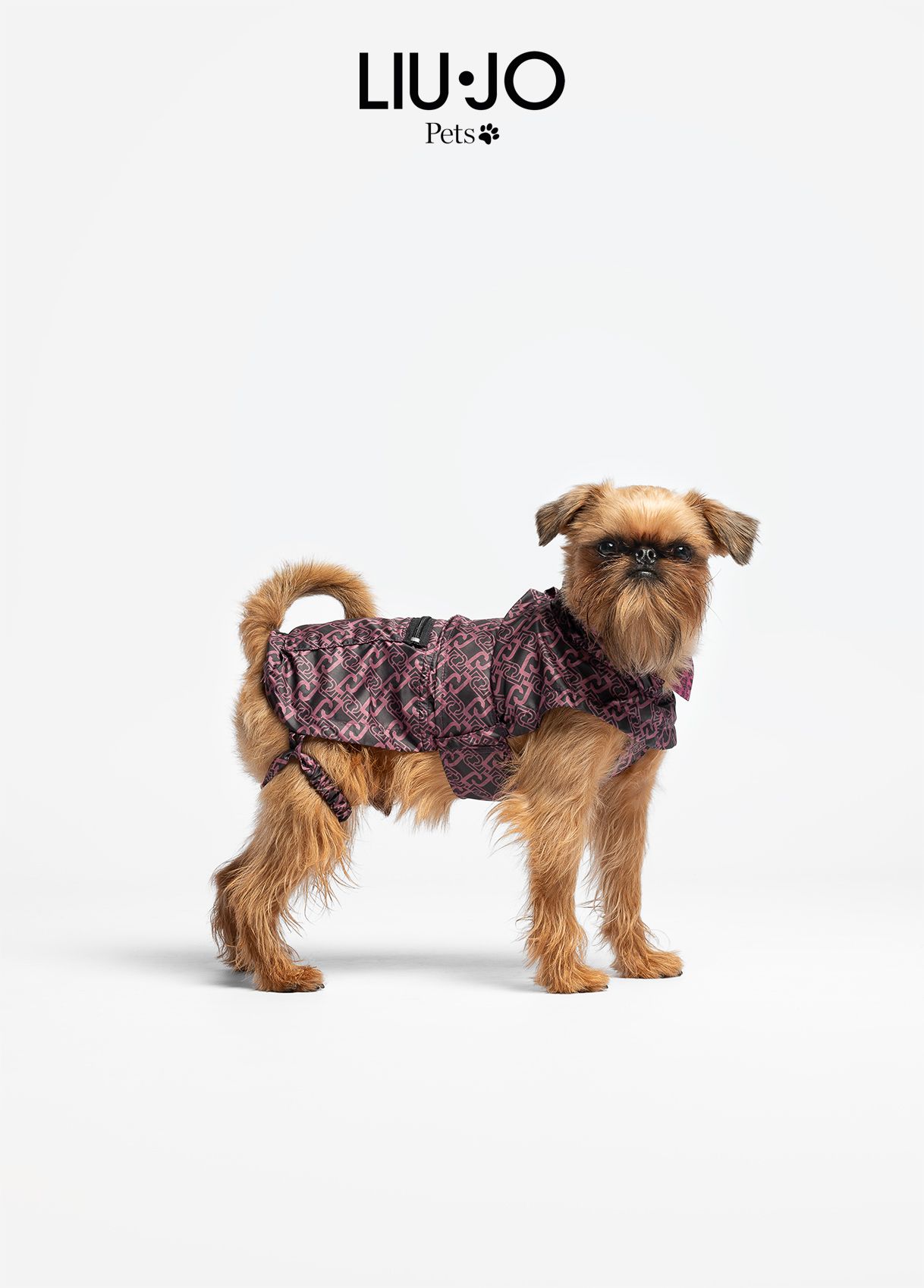 Liu-Jo Regenjas voor Grote en Kleine Honden - Rose Animalier