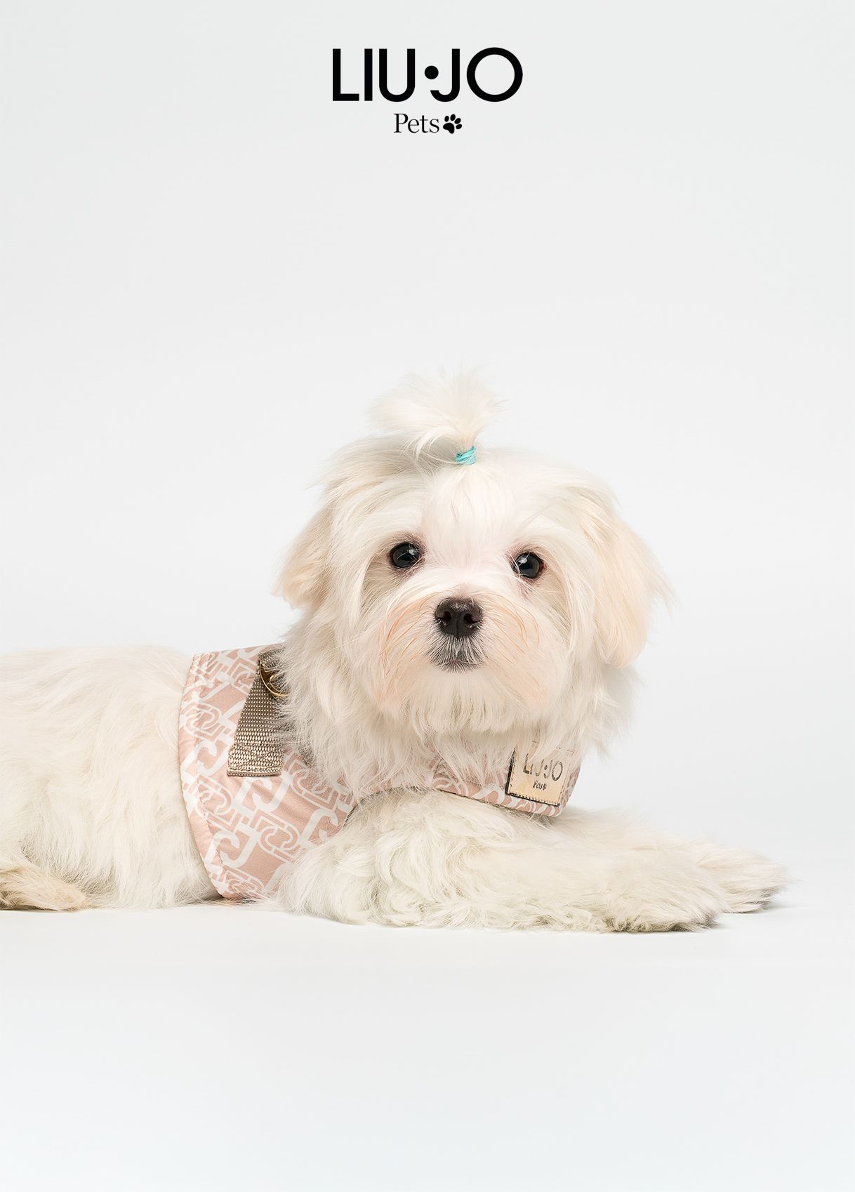 Liu-Jo Lichtgewicht Harnas voor Kleine Honden - Caramel lux