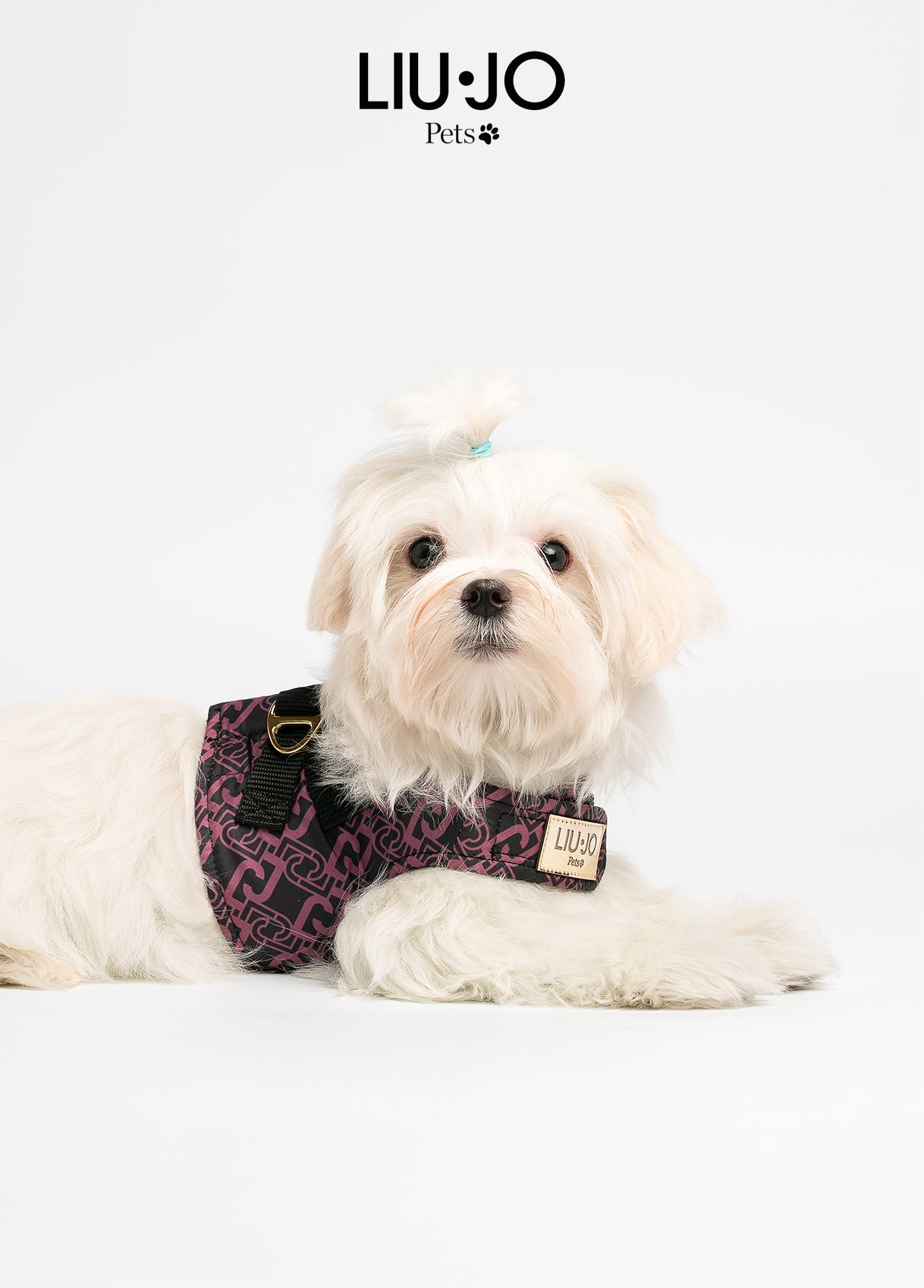 Liu-Jo Lichtgewicht Harnas voor Kleine Honden - Rose Animalier