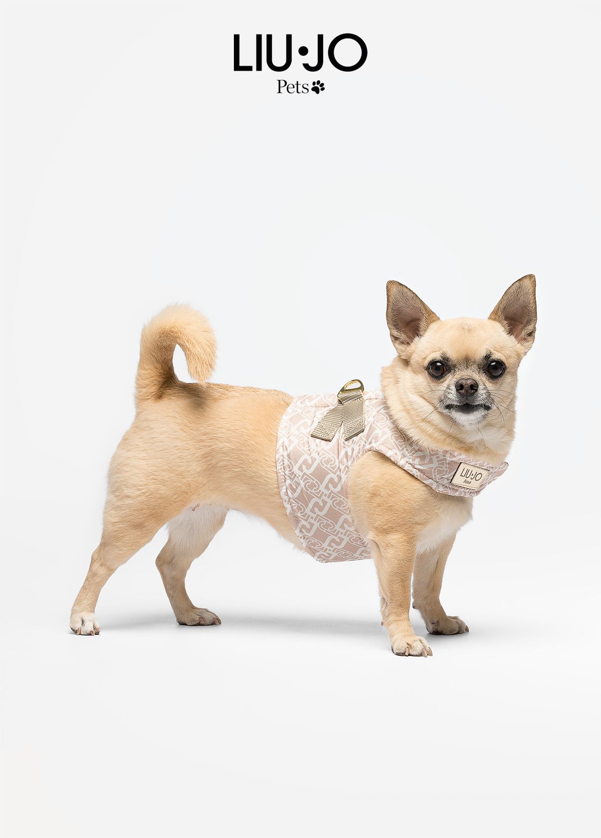 Liu-Jo Lichtgewicht Harnas voor Kleine Honden - Caramel lux - Afbeelding 2