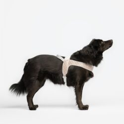 Liu-Jo Harnas voor Grote Honden- Caramel Lux
