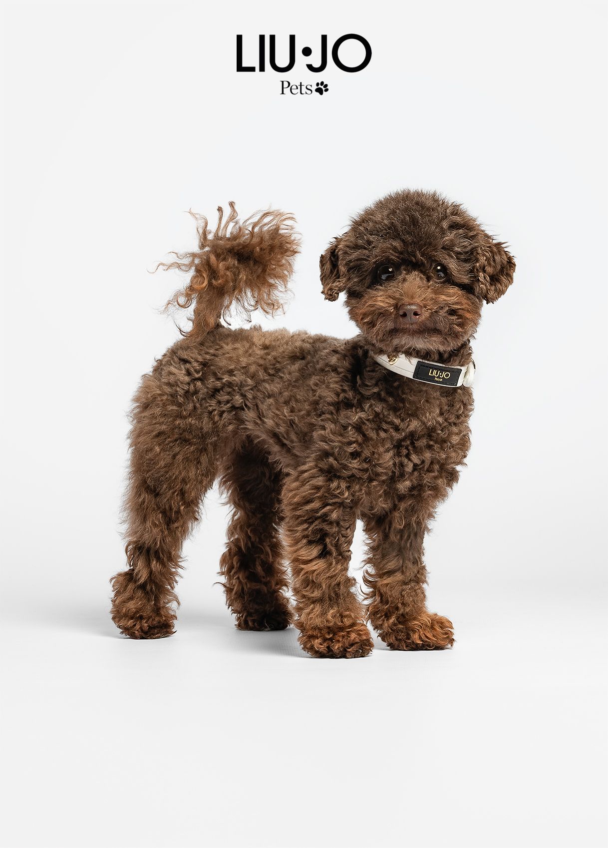 Liu-Jo Halsband met Hartjes Wit - Afbeelding 2