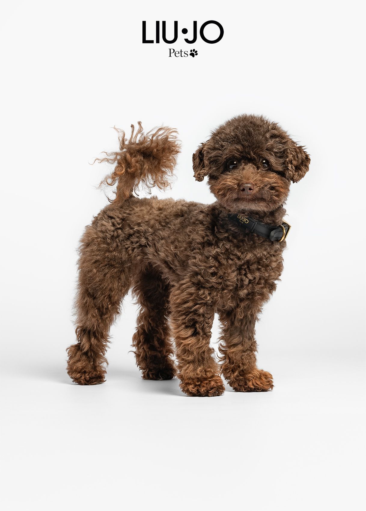 Liu-Jo Halsband met Hartjes Zwart - Afbeelding 2