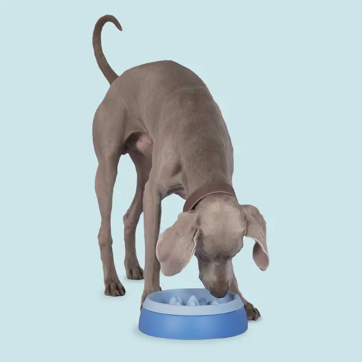 2-in-1 Eet/ Drinkbak/ Slow-Feeder voor Grote Honden - Afbeelding 4