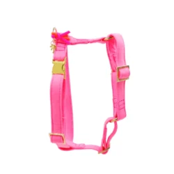Harnas Neon Roze