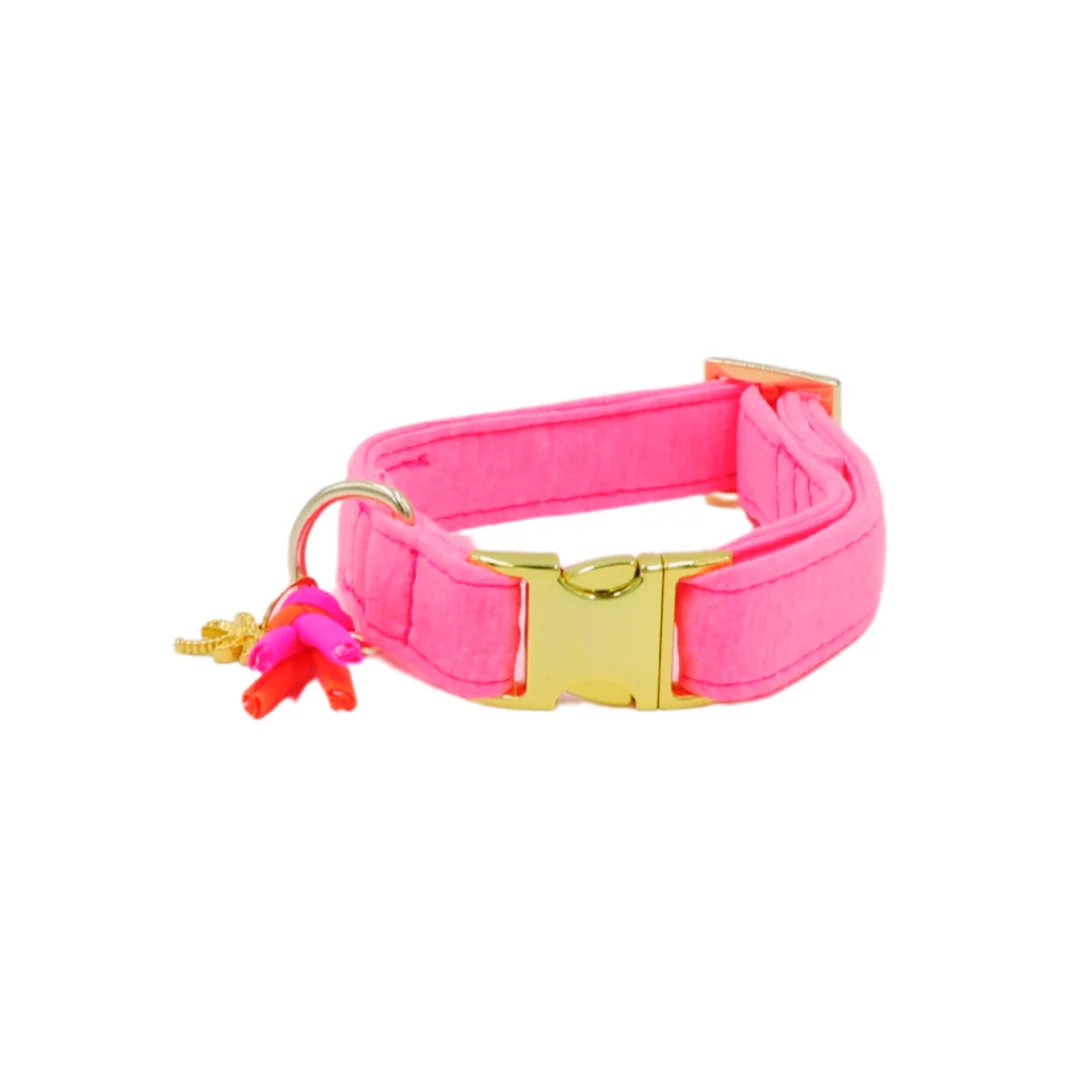 Halsband Neon Roze - Afbeelding 2