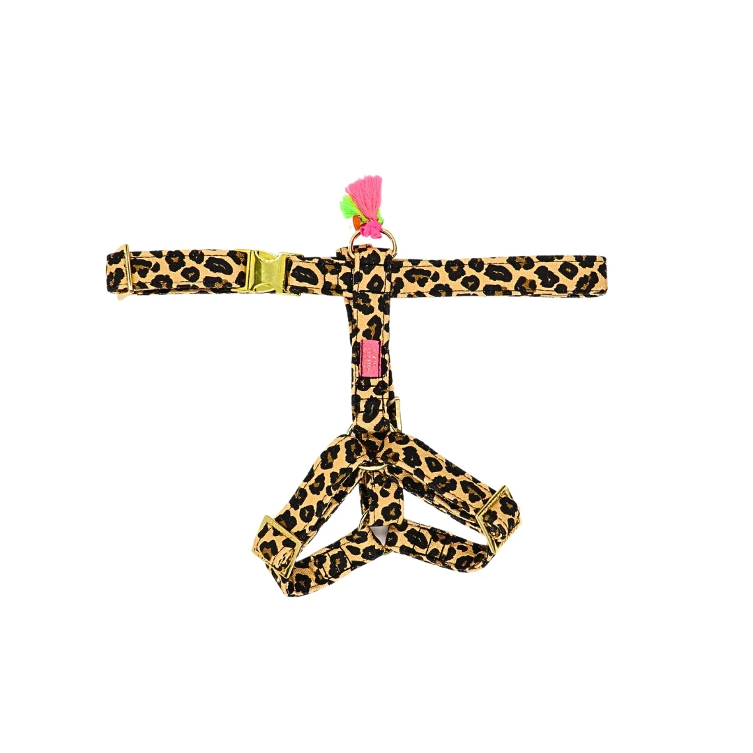hondenharnas LeoLove - Afbeelding 2