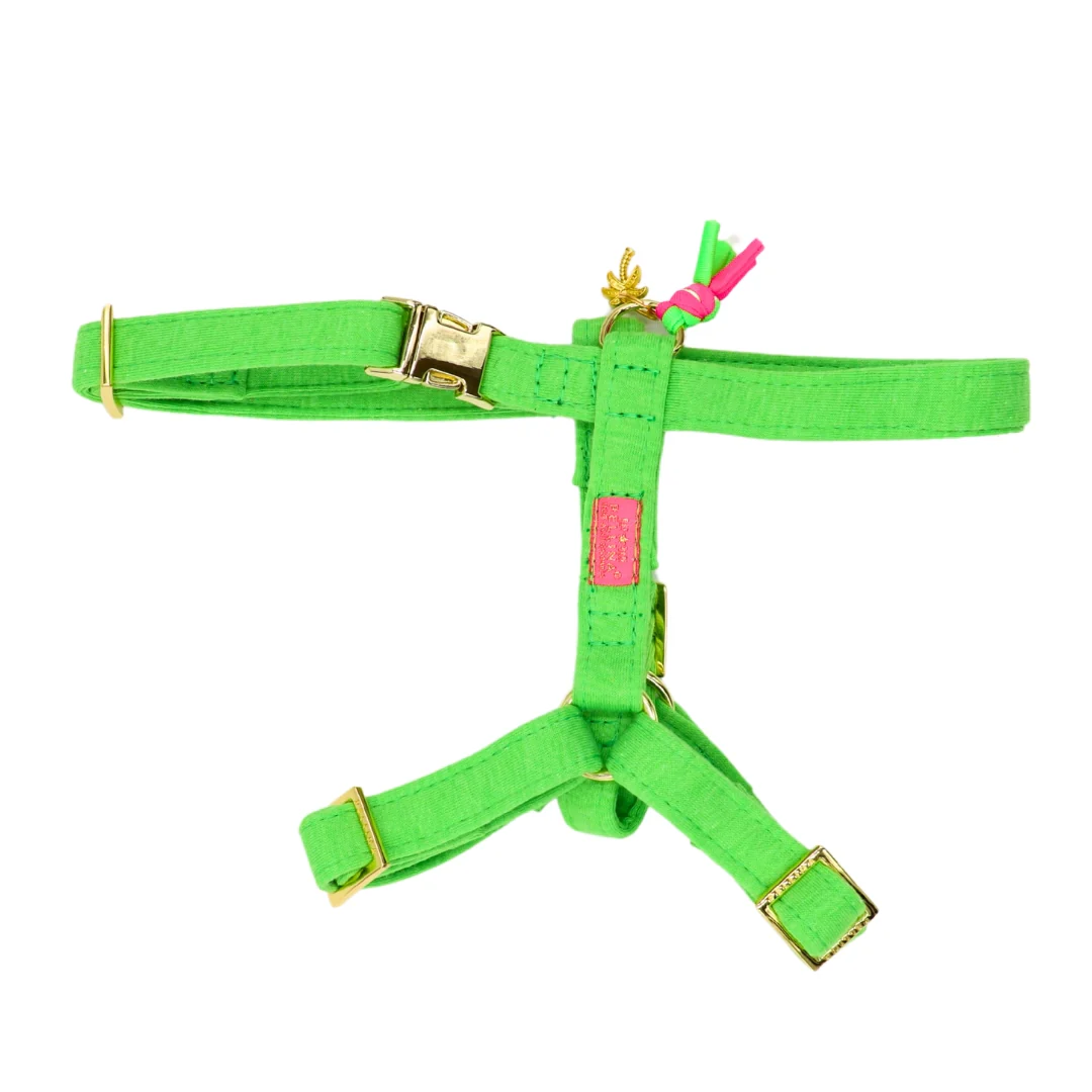 Harnas Neon Groen - Afbeelding 2