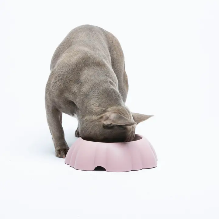 Eet/ Drinkbak voor Honden en Katten - Afbeelding 3