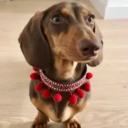 Frida Halsband met Pomponnetjes