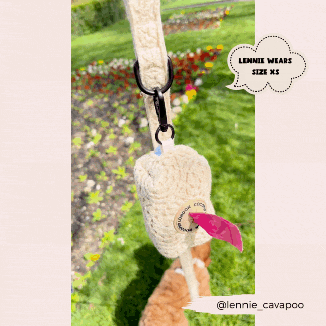 Boho Leiband van CocoPup London - Afbeelding 3