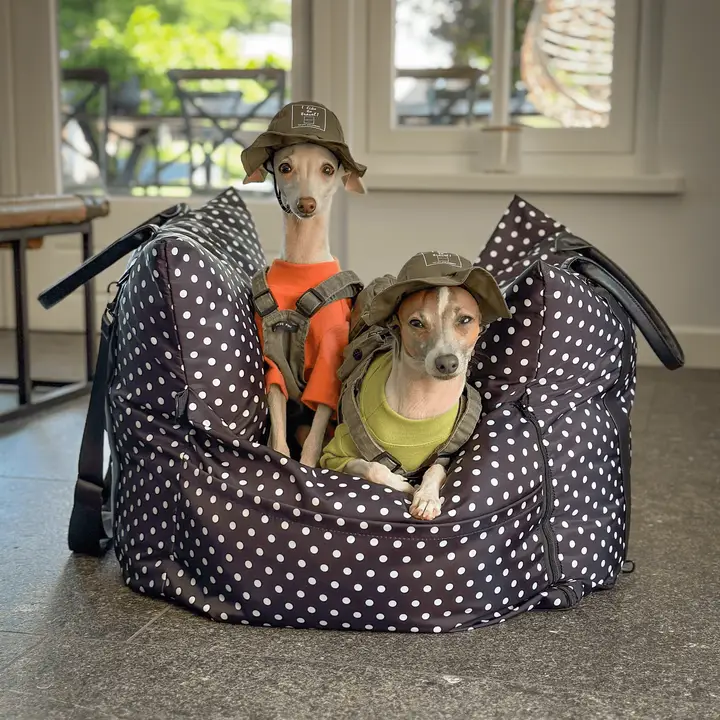 Automand- De Monroe Limited Edition