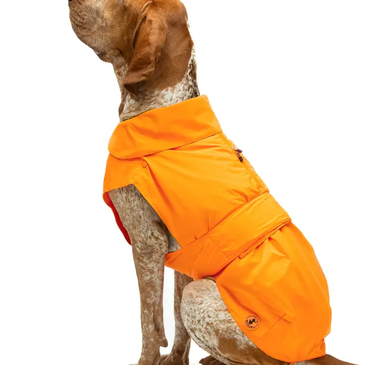 Save the Duck hondenjas Oranje