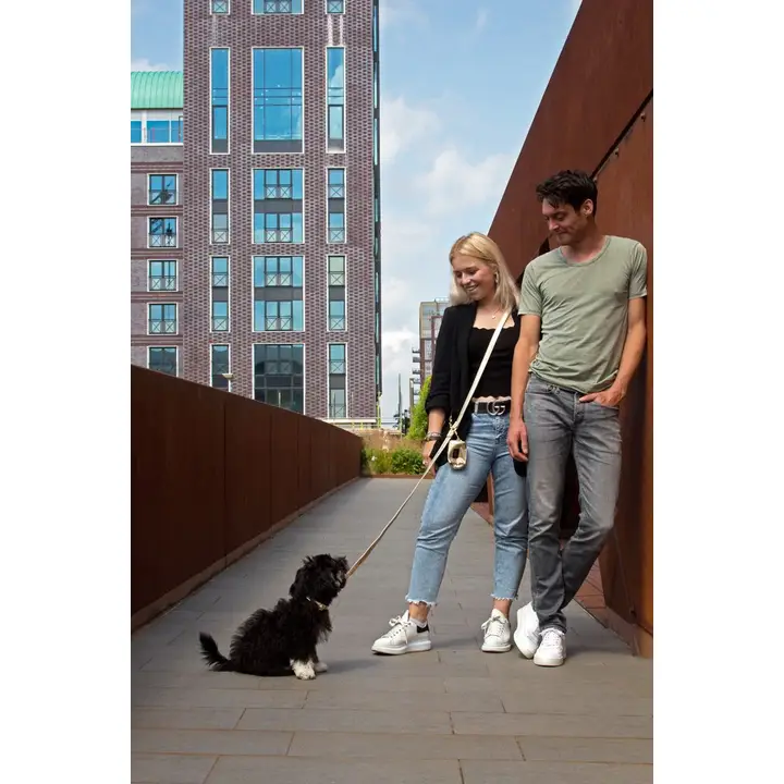 Leiband in Goud - Afbeelding 2