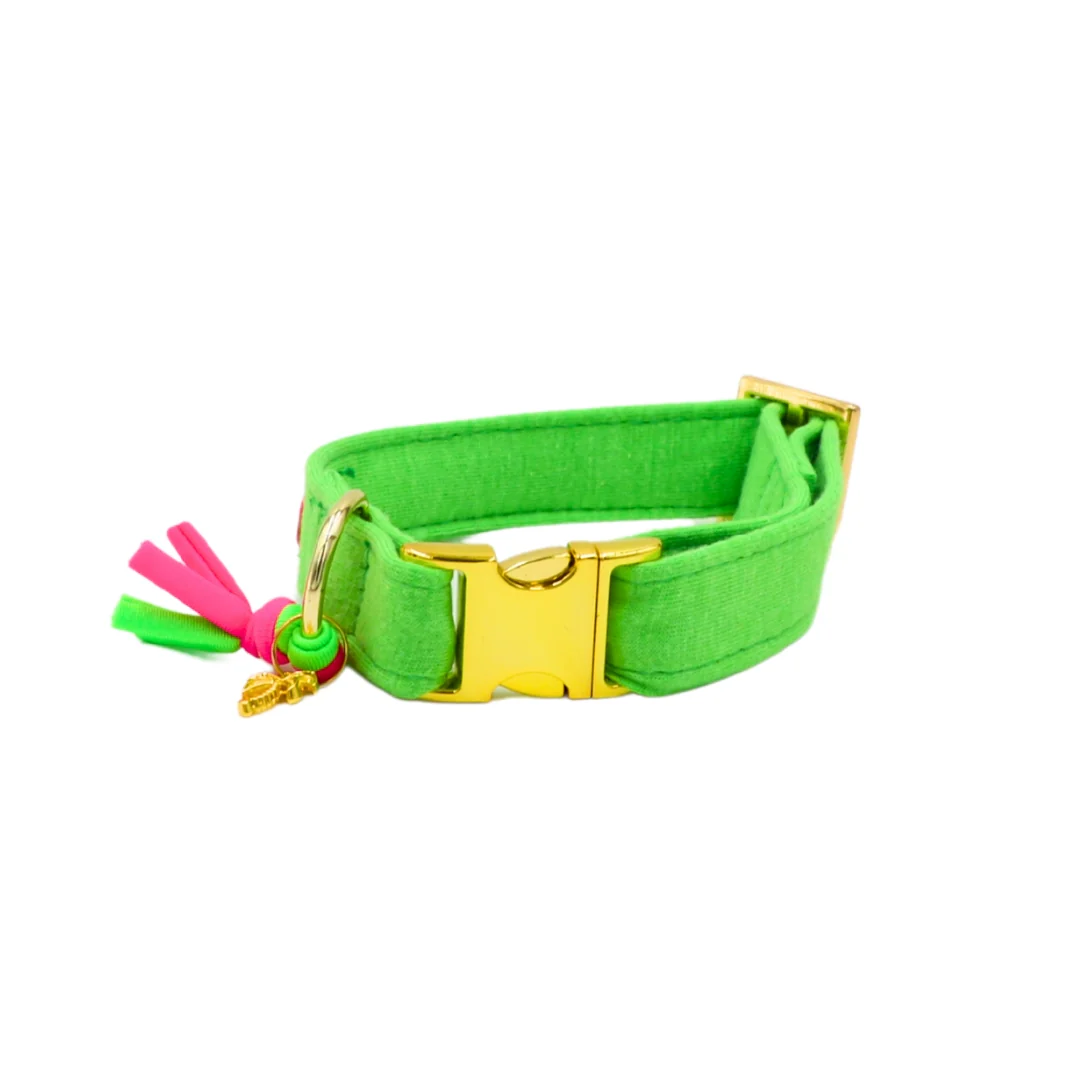 Halsband Neon Groen - Afbeelding 2