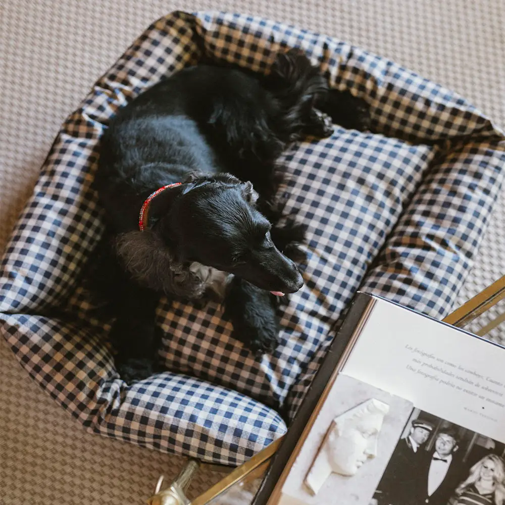 Blauwe Vichy Geruite mand - Afbeelding 2