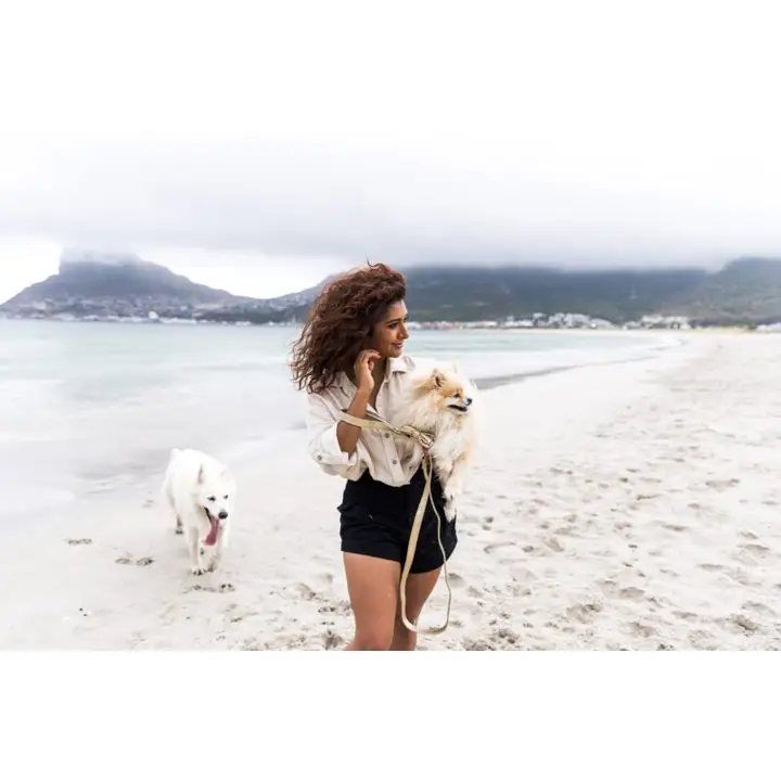 Leiband in Goud - Afbeelding 2