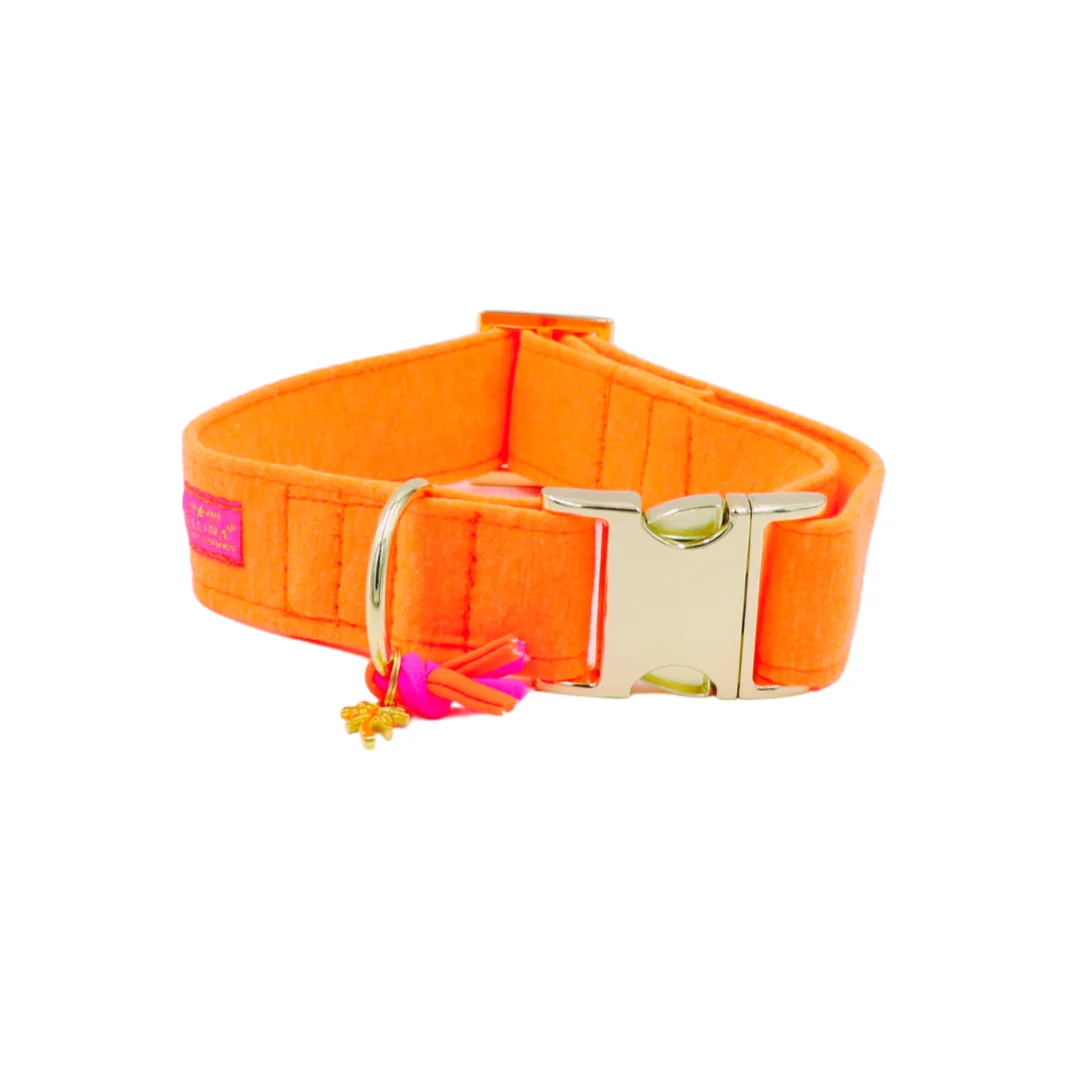 Halsband Neon Orange - Afbeelding 3