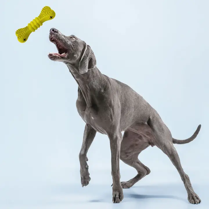 Hondenbot van natuurlijk rubber in 4 kleuren