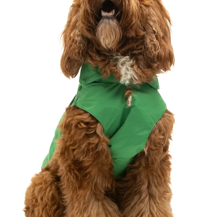 Save the Duck hondenjas Groen