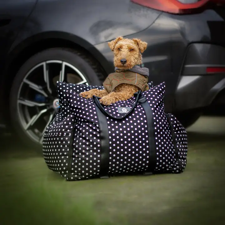 Automand- De Monroe Limited Edition - Afbeelding 2