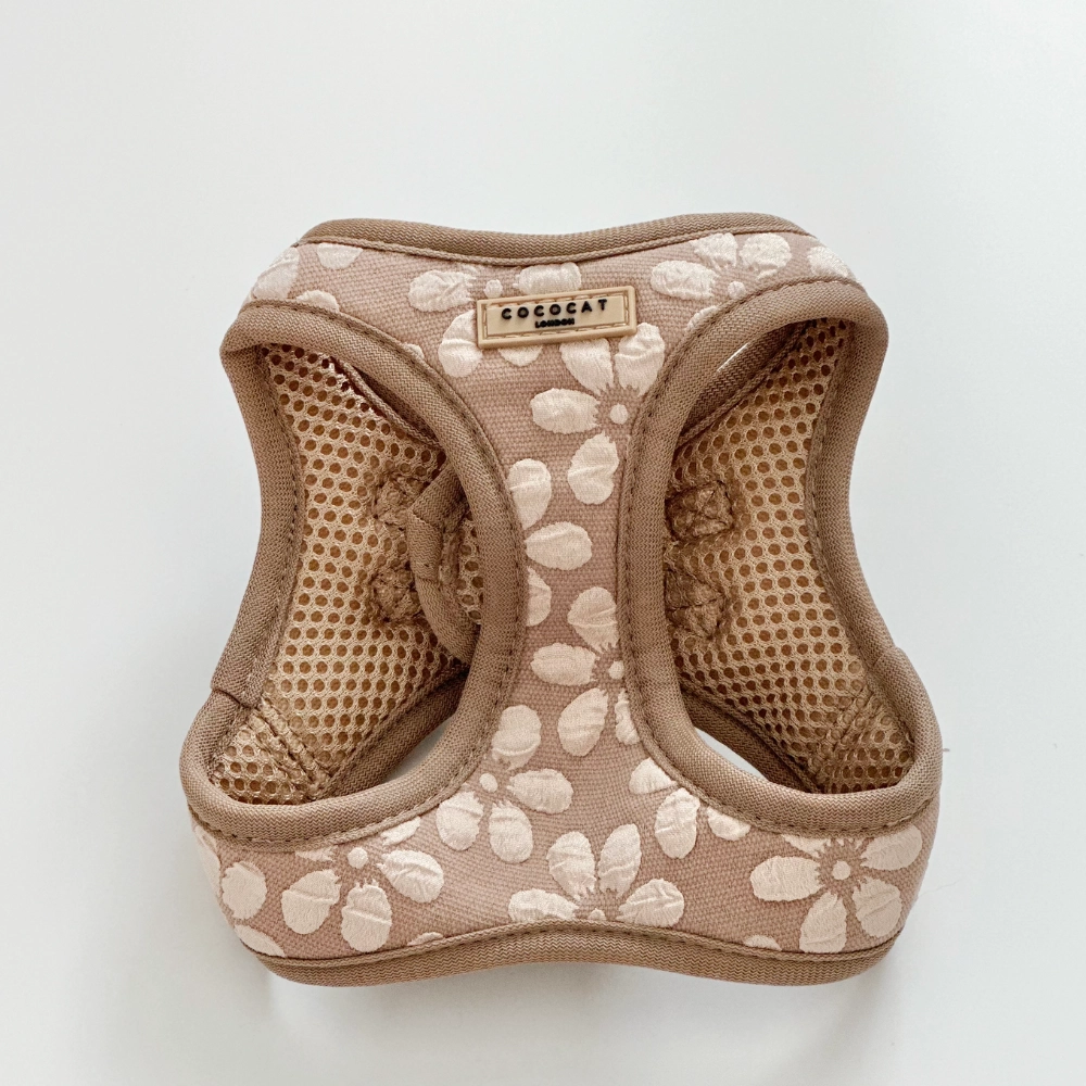 Kattentuig - Mocha Flower