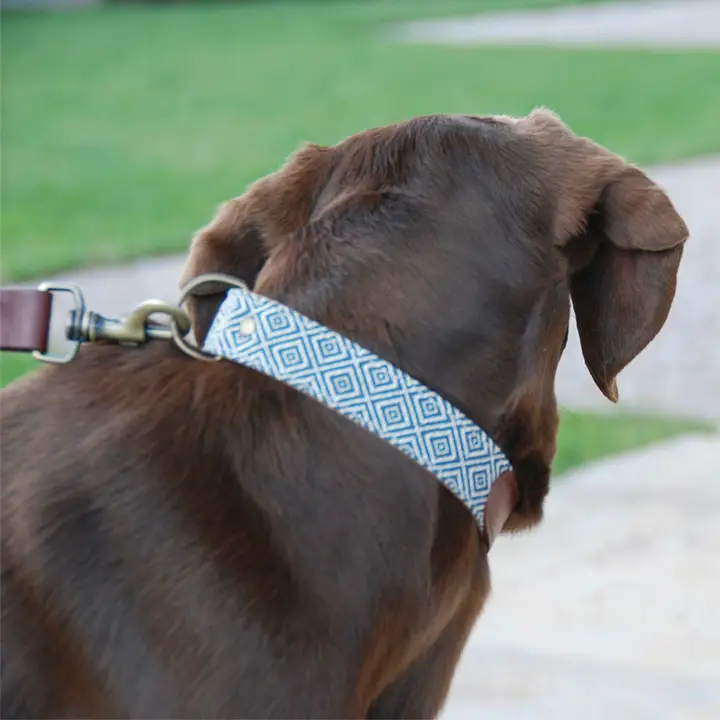 Dalton Halsband - Afbeelding 3