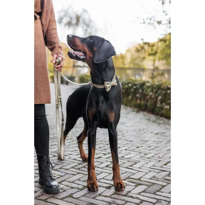 Vlinderdas/strikje in Goud - Afbeelding 4
