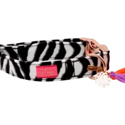 Halsband Animal Zebra